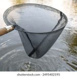 汤姆猫游戏免费版:畅享无限乐趣,轻松体验童趣世界! 0qc810ap