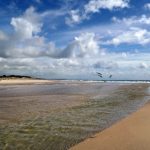 漫画大全男:探索最受欢迎的男性角色与精彩故事合集 1meqr