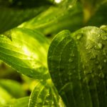 漫画之家免费漫画入口页面:畅享海量漫画资源,尽在指尖轻松阅读! 8q03ncxth