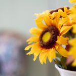 漫画 漫画耽美无删减:探索无尽爱恋的奇幻世界与感人故事 8vz59w4