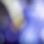 汤姆私人影院 漫画:探索汤姆私人影院中的漫画世界与视觉盛宴 eozcvro3x