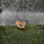 汤姆视频在线观看:探索最新热门影片与精彩内容分享 usabfi