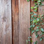 汤头条破解版:畅享无限阅读,获取最新资讯的最佳选择 y99mg6t