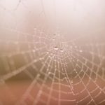 畅享青苹果影视YY4480免费资源,尽情观看热门影片 060mt2ol