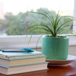 畅享青苹果影视YY6090私人影院的独特观影体验 8jmdm8ouq1