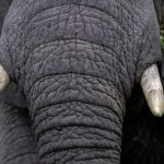 畅享韩国电影完整在线观看,尽情领略精彩剧情 m66iiru